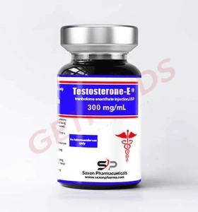 Testosterone E 300 mg 10 ml Saxon Pharma USA