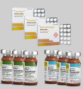 Beligas 12 Weeks Heavy Cut Stack Plus Anti Estrogen – Int
