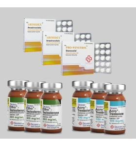 Beligas 12 Weeks Heavy Cut Stack Plus Anti Estrogen – Int
